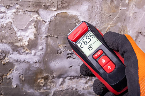 Best Black Mold Removal  in Hobart, OK