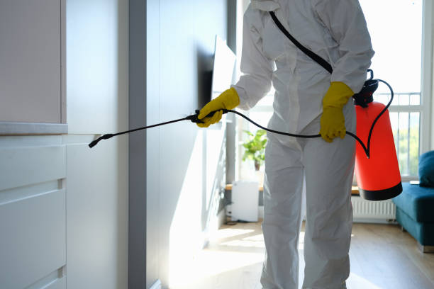 Best Local Mold Removal Service  in Hobart, OK