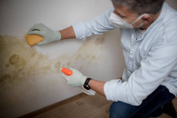 Best Crawl Space Mold Removal  in Hobart, OK