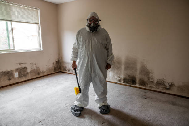 Best Local Mold Removal Service  in Hobart, OK